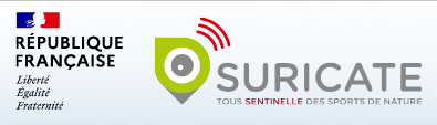 Suricate Suricate